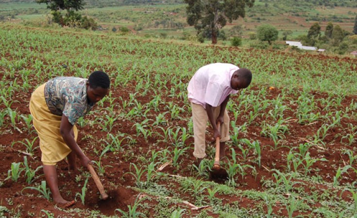 Traditional farming in Africa